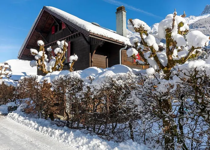 Clos 66 * שאמוני